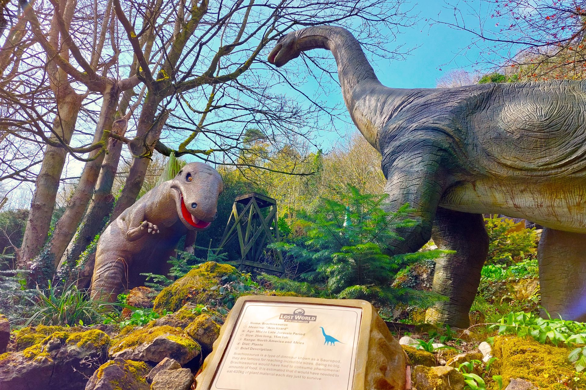 DISCOVERY CENTRE