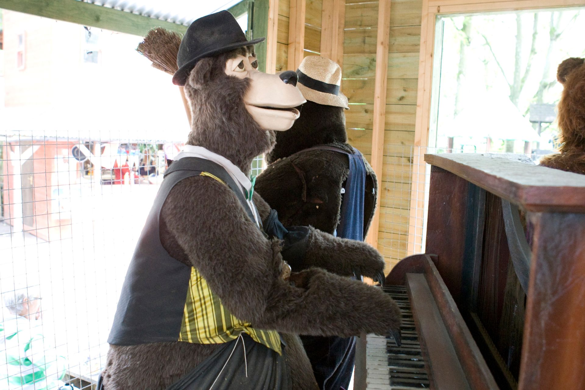 BEARS